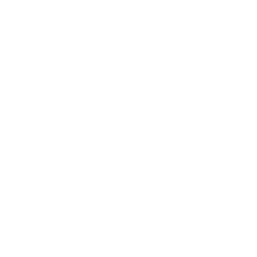 Share it with TikTok!